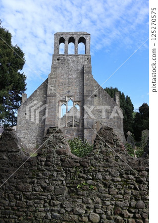 Church ruins in Malahide, Ireland 125270575