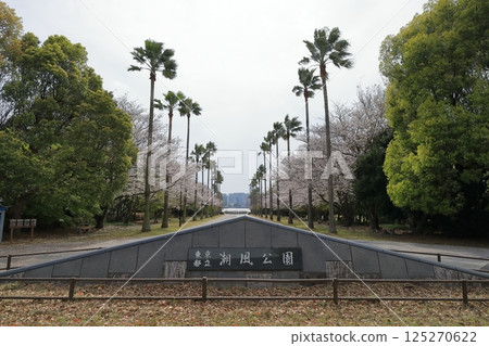 東京都潮風公園風景(東京都品川區) 東京都潮風公園風景(東京都品川區) 125270622
