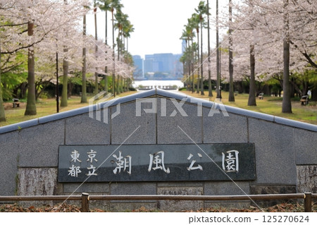 東京都潮風公園風景(東京都品川區) 東京都潮風公園風景(東京都品川區) 125270624