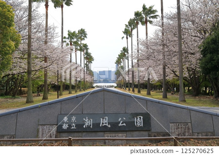 Scenery of Tokyo Metropolitan Shiokaze Park (Shinagawa, Tokyo) Scenery of Tokyo Metropolitan Shiokaze Park (Shinagawa, Tokyo) 125270625