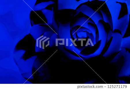 Retouched art image of midnight blue camellia flowers on a black background 125271179