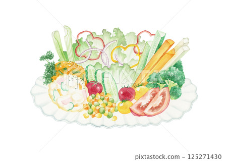 Assorted vegetable salad watercolor illustration 125271430