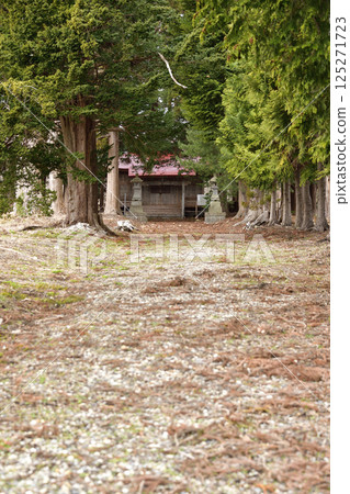 拍攝北海道北斗市春天的風月稻荷神社 125271723