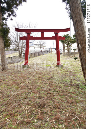 Photographing the grounds of Fuzuki Inari Shrine in spring in Hokuto, Hokkaido Photographing the grounds of Fuzuki Inari Shrine in spring in Hokuto, Hokkaido 125271748