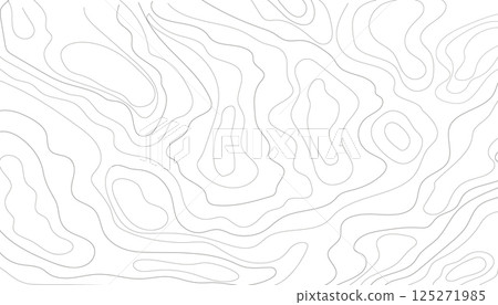 Topography map line contour territory, abstract landscape texture with grigs. Cartography map land or sea, geographic geometric sketch. 125271985