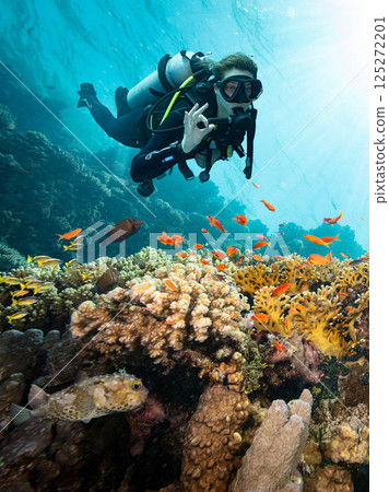 Scuba Diver Swimming in Deep Sea with Sunrays and Beautiful Coral Reef with Colorful Fishes Scuba Diver Swimming in Deep Sea with Sunrays and Beautiful Coral Reef with Colorful Fishes 125272201