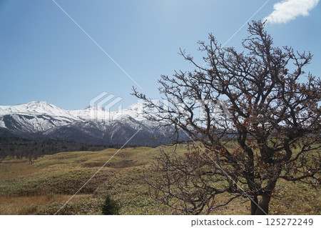 從知床五湖眺望，白雪皚皚的知床山脈、藍天和樹木 125272249