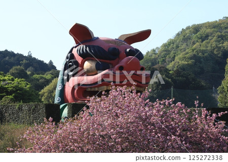 Giant lion's head and peony cherry blossoms at Hitachi Fudoki Hill 125272338
