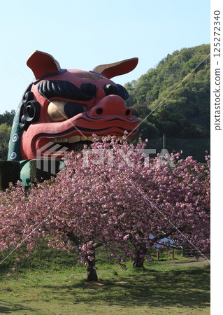 Giant lion's head and peony cherry blossoms at Hitachi Fudoki Hill 125272340