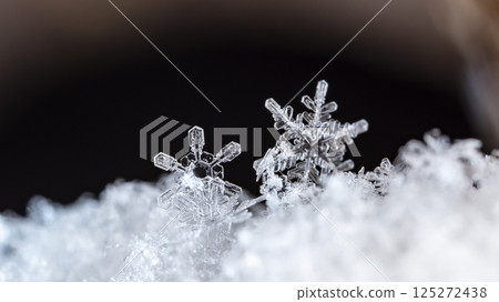 snowflakes, winter card, crystals of snow snowflakes, winter card, crystals of snow 125272438