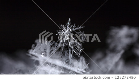 snowflakes, winter card, crystals of snow 125272480