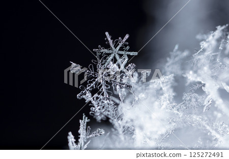 snowflakes, winter card, crystals of snow 125272491