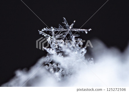 snowflakes, winter card, crystals of snow snowflakes, winter card, crystals of snow 125272506