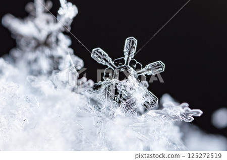snowflakes, winter card, crystals of snow 125272519
