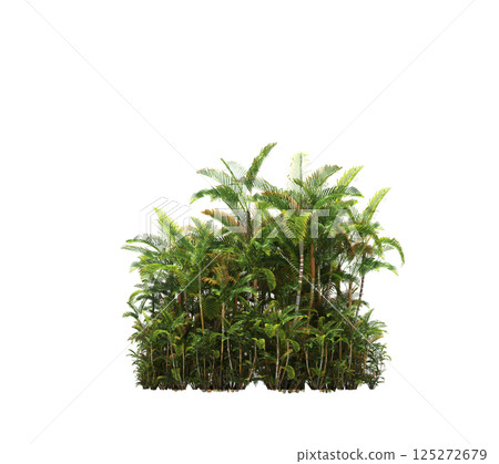 group of trees isolated on a transparent background, forest, sketch, outline illustration, cg render 125272679