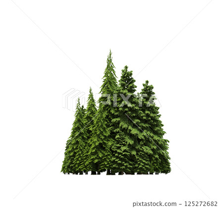 group of trees isolated on a transparent background, forest, sketch, outline illustration, cg render group of trees isolated on a transparent background, forest, sketch, outline illustration, cg render 125272682