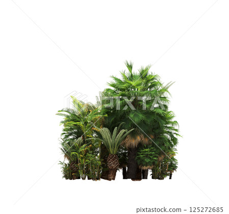 group of trees isolated on a transparent background, forest, sketch, outline illustration, cg render 125272685