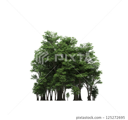 group of trees isolated on a transparent background, forest, sketch, outline illustration, cg render 125272695