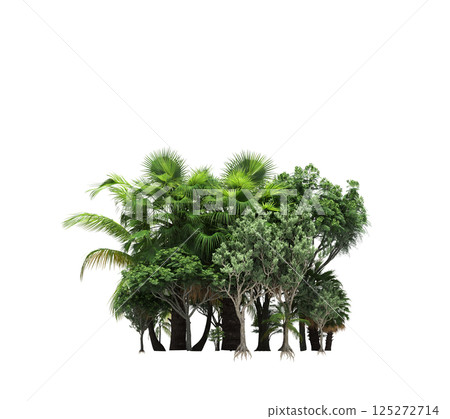 group of trees isolated on a transparent background, forest, sketch, outline illustration, cg render group of trees isolated on a transparent background, forest, sketch, outline illustration, cg render 125272714