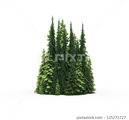 group of trees isolated on a transparent background, forest, sketch, outline illustration, cg render group of trees isolated on a transparent background, forest, sketch, outline illustration, cg render 125272727