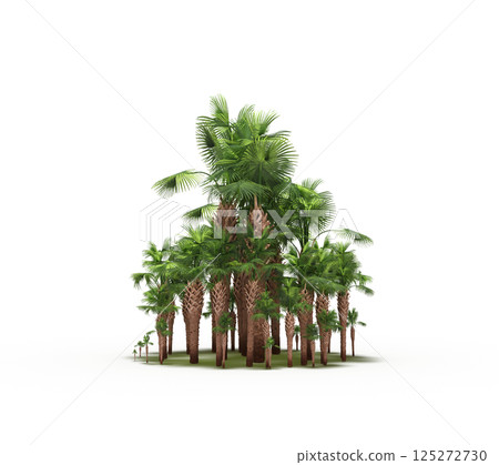 group of trees isolated on a transparent background, forest, sketch, outline illustration, cg render 125272730
