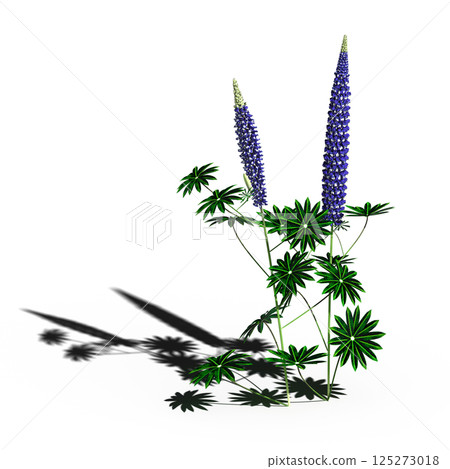 wild field grass, isolated on a transparent background, 3D illustration, cg render wild field grass, isolated on a transparent background, 3D illustration, cg render 125273018
