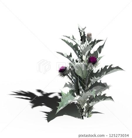 wild field grass, isolated on a transparent background, 3D illustration, cg render wild field grass, isolated on a transparent background, 3D illustration, cg render 125273034