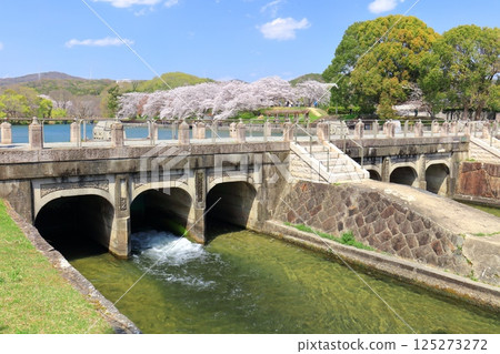 [Okayama Prefecture] Cherry blossoms in full bloom and Sakatsu Park Takahashi River East-West Water Intake and Distribution Facility 125273272