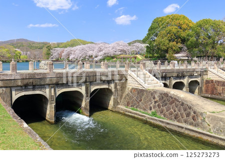[Okayama Prefecture] Cherry blossoms in full bloom and Sakatsu Park Takahashi River East-West Water Intake and Distribution Facility 125273273