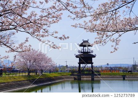 Karako-Kagi ruins on a day when cherry blossoms are in full bloom 125273789