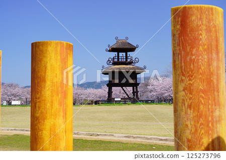 Karako-Kagi ruins on a day when cherry blossoms are in full bloom 125273796