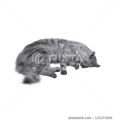 cat isolate on a transparent background, 3d illustration, cg render 125273846