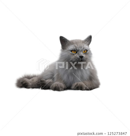 cat isolate on a transparent background, 3d illustration, cg render 125273847