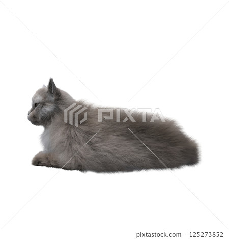 cat isolate on a transparent background, 3d illustration, cg render 125273852