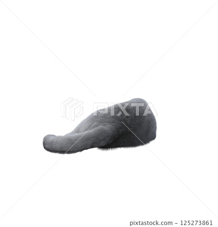 cat isolate on a transparent background, 3d illustration, cg render cat isolate on a transparent background, 3d illustration, cg render 125273861