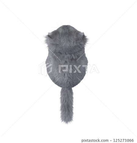 cat isolate on a transparent background, 3d illustration, cg render cat isolate on a transparent background, 3d illustration, cg render 125273866