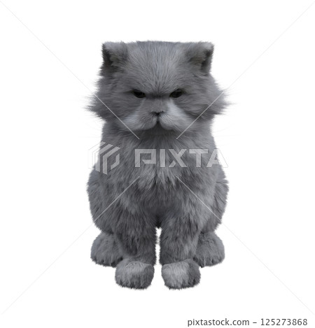 cat isolate on a transparent background, 3d illustration, cg render 125273868