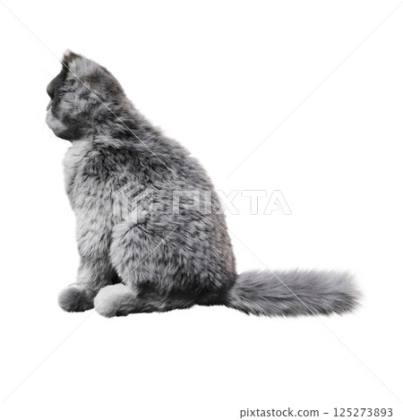 cat isolate on a transparent background, 3d illustration, cg render 125273893