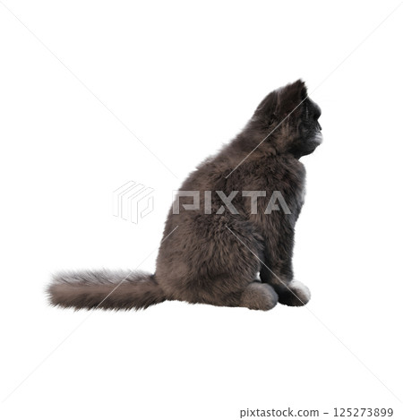 cat isolate on a transparent background, 3d illustration, cg render cat isolate on a transparent background, 3d illustration, cg render 125273899