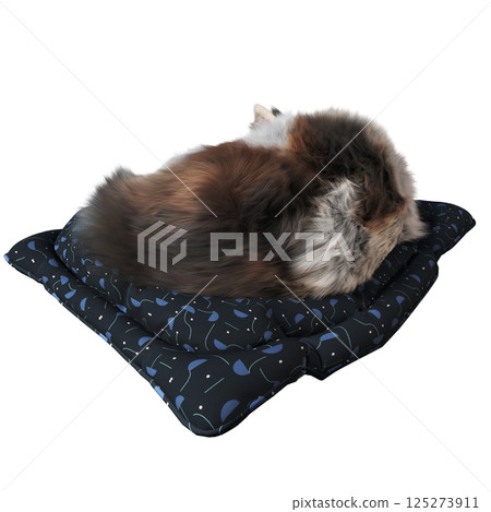 cat isolate on a transparent background, 3d illustration, cg render 125273911