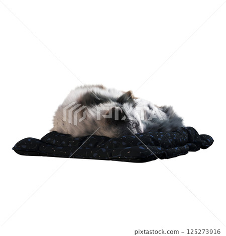 cat isolate on a transparent background, 3d illustration, cg render 125273916