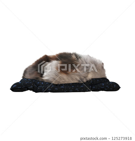 cat isolate on a transparent background, 3d illustration, cg render cat isolate on a transparent background, 3d illustration, cg render 125273918