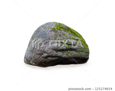 moss growing on stone isolated on white background 125274654