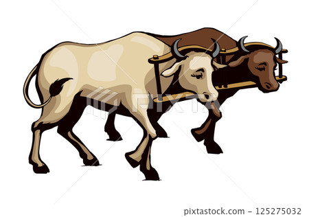 Vector drawing. Old wooden yoke on the cow 125275032