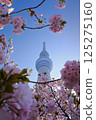 春天東京天空樹 125275160