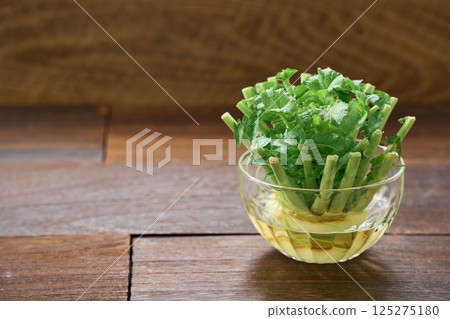 Radish leaves grown in water 125275180