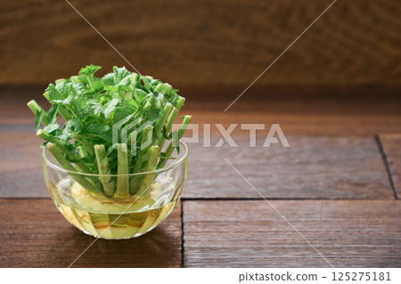 Radish leaves grown in water 125275181