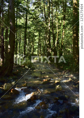 Matsumoto City, Nagano Prefecture Kamikochi scenery Azusa River right bank road mountain stream 125275404