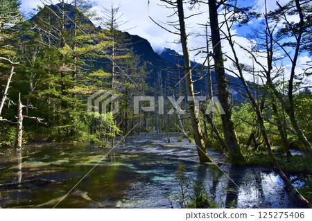 Matsumoto City, Nagano Prefecture Kamikochi scenery, Dakezawa Marsh Matsumoto City, Nagano Prefecture Kamikochi scenery, Dakezawa Marsh 125275406