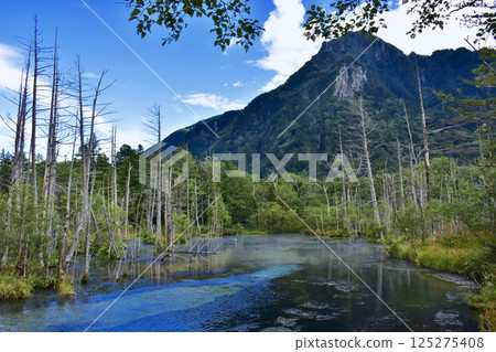 長野縣松本市上高地風景:岳澤沼澤和六百山 長野縣松本市上高地風景:岳澤沼澤和六百山 125275408
